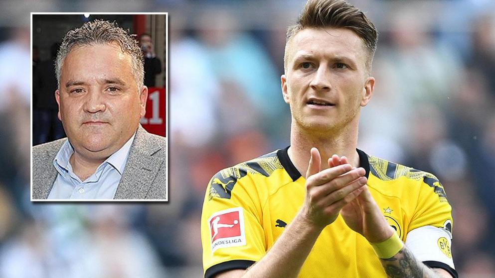 年登陆荷兰 年登陆荷兰